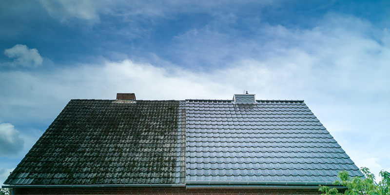 Why Roof Soft Washing is Essential to the Life of Your Roof