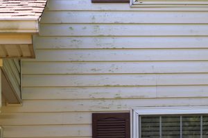 Signs Your Home Could Use an Exterior House Washing