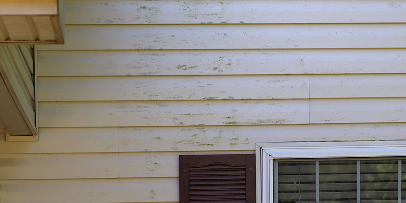 Signs Your Home Could Use an Exterior House Washing 