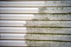 4 Reasons Why You Need Exterior Home Washing