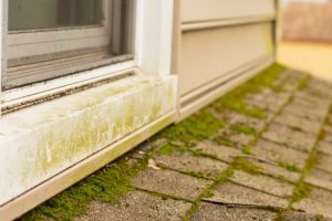 Is Soft Washing Right For Your Exterior Spaces?
