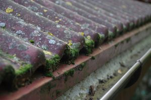 Three Reasons Why You Need Roof Cleaning Services